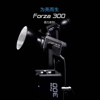 Nanlite南光Forza300W LED摄影灯柔光灯摄影棚拍照南冠补光灯摄像